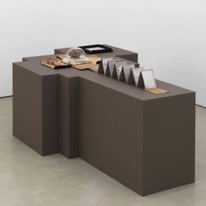 Rose of Jericho, 2013–2014
Installation view from the exhibition Ricardo Brey. Doble Existencia / Double Existence, Alexander Gray Associates, New York (USA) 